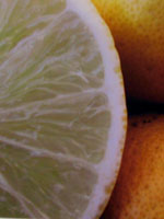 "Cut Lemons" Santa Barbara, CA