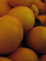 "Farmers Market Lemons" Santa Barbara, CA